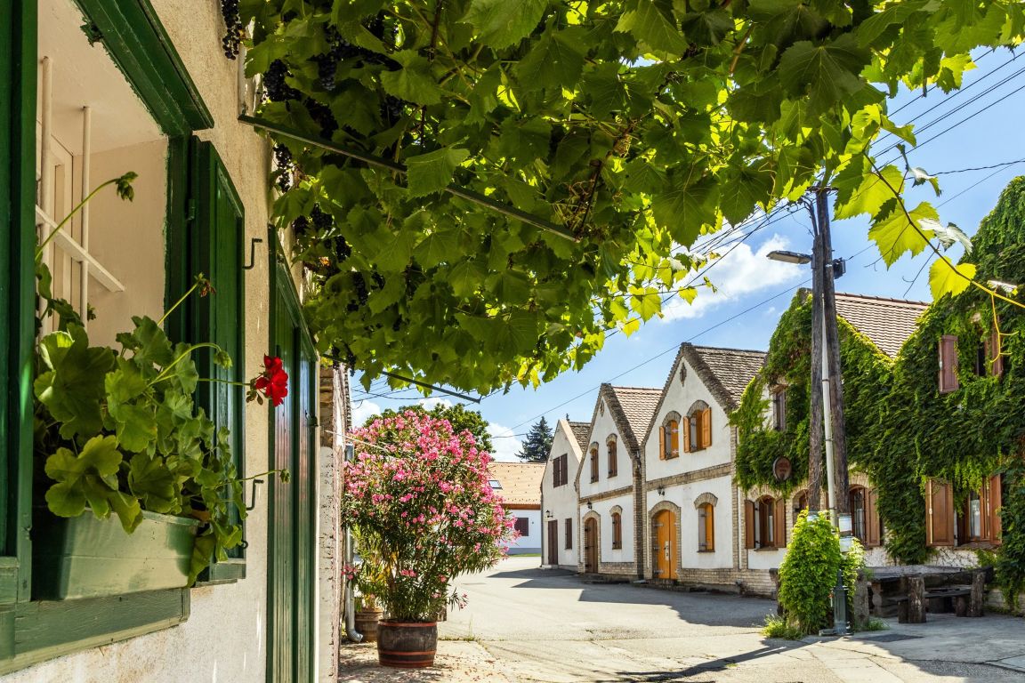 Hajósi pincefalu