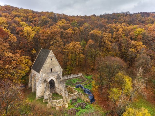 Martonyi pálos kolostor romja